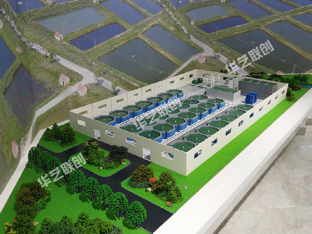 白對(duì)蝦生產(chǎn)養(yǎng)殖